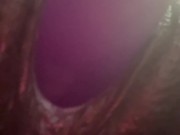 Onlyfans /nittyybee 1/16