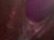 Onlyfans /nittyybee 11/16