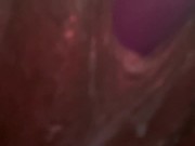 Onlyfans /nittyybee 13/16