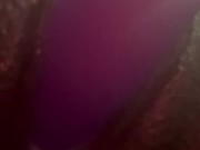 Onlyfans /nittyybee 2/16