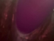 Onlyfans /nittyybee 3/16