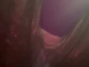 Onlyfans /nittyybee 4/16