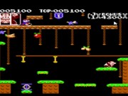 Let's Play Donkey Kong Jr. 13/16