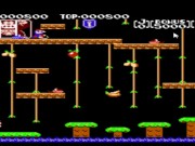 Let's Play Donkey Kong Jr. 3/16