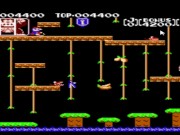 Let's Play Donkey Kong Jr. 9/16