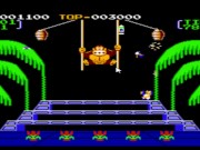 Let's Play Donkey Kong 3 Part 2/2 1/16