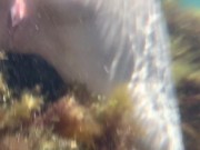 Заснял голую подругу под водой в море 4/16