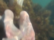 Заснял голую подругу под водой в море 5/16