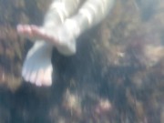 Заснял голую подругу под водой в море 7/16
