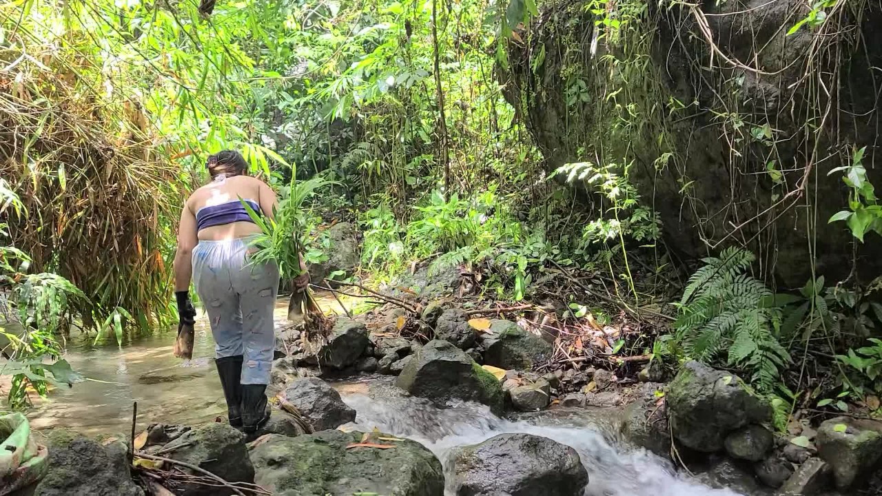 Pinay Outdoor Porn Harvest and Cooking Bamboo Shoots