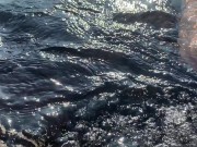 Сочная попка нежится на морских волнах 10/16