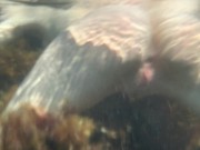 Трогаю голую девушку на нудистском пляже 13/16