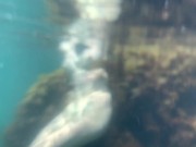 Голая девушка плавает в море и ласкает себя под водой 16/16