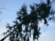 Crazy public sounding my cock 16/16