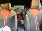 Amatorska para z Polski pieprzy się publicznie w aucie 11/16