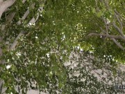 DADDY4K. Jillian Janson forgets about BF by having unplanned sex with his  3/16