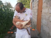 Malvina the cat and I are playing barrel ball 2/16