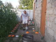 Malvina the cat and I are playing barrel ball 3/16