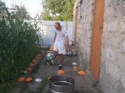 Malvina the cat and I are playing barrel ball