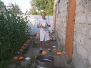 Malvina the cat and I are playing barrel ball 8/16