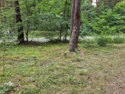 Mój przyjaciel dildo..... 13/16