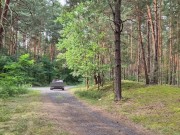 Mój przyjaciel dildo..... 16/16