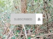 Pinay Babe inutusan ni Tatay manguha ng panggatong: Na horny sa gubat 1/16