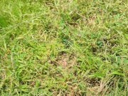 KANTUTAN vlog Kami muna, bago mag arado 7/16