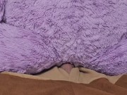 Teddy bear sex 12/16