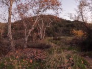 I Helped Beautiful Blogger Shoot Content - Put It In Her Mouth 8/16