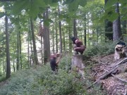 With a bunny mask and a dog collar around my neck 13/16