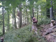 With a bunny mask and a dog collar around my neck 16/16