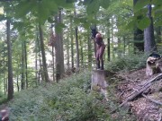 With a bunny mask and a dog collar around my neck 8/16