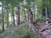 With a bunny mask and a dog collar around my neck 9/16