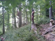 Standing pissing in a woods in a bunny mask and fishnet 7/16