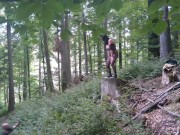 I masturbate and stick a dildo in my pussy while standing on a wooden stump 16/16