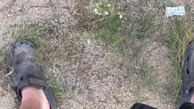 Solo Male Outdoor Pissing Compilation