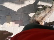 Cute cat at the store 11/16