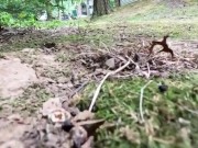 giantess roleplay 1/16