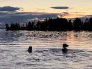 Sex in the midnight sun - RosenlundX - Vertical HD60fps 3/16