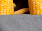 Weekend at Spermy 15/16