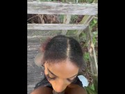 record me blow him and got caught in the park 15/16