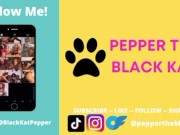 Kitten Play Audio: Purring, Meowing, Licking 15/16