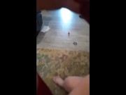 Kitty's first troating Compilation 15/16