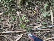 POV | MY STEP-COUSIN AND I GOT HORNY IN GRANDPA'S FARM AND COULDN'T RESIST FUCKING 11/16