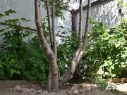 I pee bent over 16/16