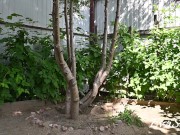 I pee bent over 3/16