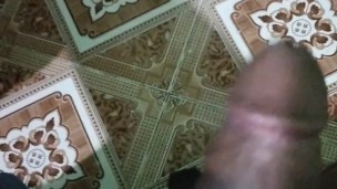 Cock dance