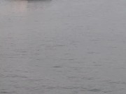 Public Pussy Flash Risky many people around 12/16