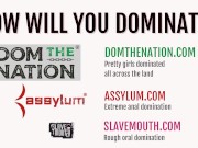 Spit roasted sub chick 1/16